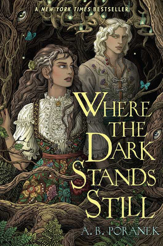 Where the Dark Stands Still by A. B. Poranek: Paperback; 384 pages / English