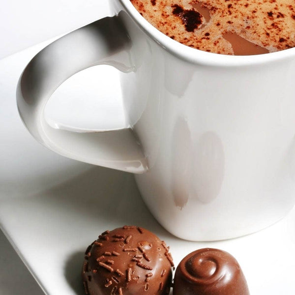 Door County Salted Caramel Gourmet Hot Cocoa  One Mug Packet