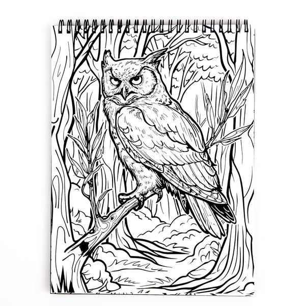 Waiting for the Night Coloring Book