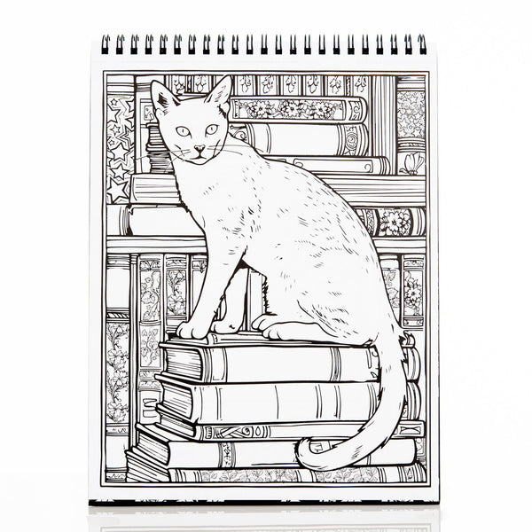 Waiting for the Night Coloring Book